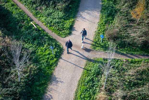 Aerial view of a paved greenway trail crossing wooded parkland