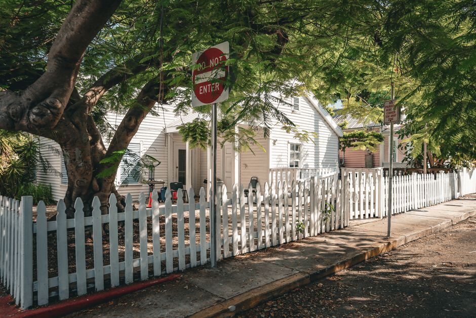 White picket fence in front of a small house under a large tree