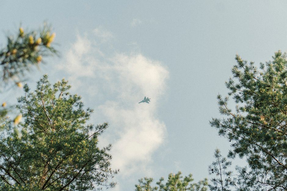 Distant aircraft in the sky above treetops